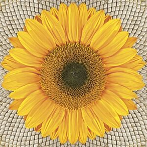 Servítky na dekupáž Sunflower on Seeds - 1 ks