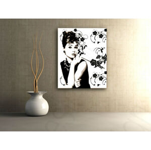 Ručne maľovaný POP Art obraz Audrey Hepburn  ah6 (POP ART obrazy)